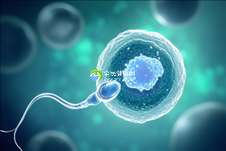 河北医科大学第二医院做三代试管婴儿成功率是多少？