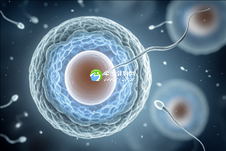 重庆西南医院生殖中心怎么样？2025试管婴儿怀孕成功率预估