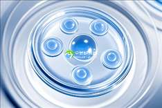 2025山大生殖三代试管必备流程，附试管收费明细