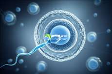 2025年单身女性去乌海市妇幼做三代试管的费用高吗？单身试管明细大全