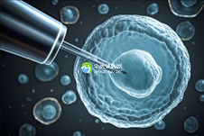 湖南省试管婴儿助孕领域可靠机构TOP10，先成功，后付款