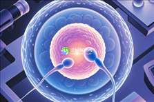 2025年艾滋病患者在赣州做试管生健康宝宝可以实现吗？成功率有多少？