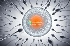 2025年没有精子去湖州做精子试管可以吗？成功率高达百分之50%