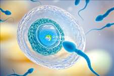惠州第三代试管婴儿费用解析：做一次的成功怀孕生子究竟要花多少钱？