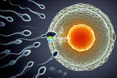 嘉兴第三代试管婴儿费用揭秘：成功怀孕生子究竟要花多少钱？