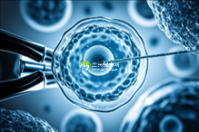 2025年没有精子去济南做精子试管的成功率有多高？
