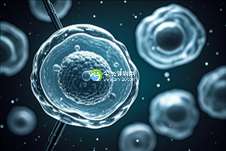 2025年高龄失独去泰国ibaby医院做三代试管可以吗？该怎么做