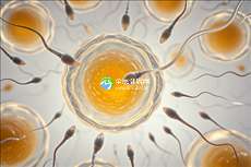 hiv去南京做三代试管贵吗？大概要花费多少钱？
