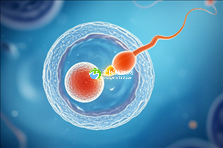 2025年男艾滋病患者可以去太原做试管吗？hiv试管详细流程解析