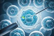 排卵前6个小时怀孩子什么科学依据？试管婴儿怀孩子要注意什么？