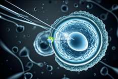 上海试管婴儿助孕能一次能成功？一定能成？真相在这里！