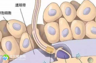 信阳三大助孕公司有几家