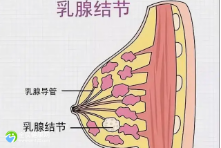 鹤壁做第三代试管婴儿医院可以高成功率生孩子吗？谨防低价套路