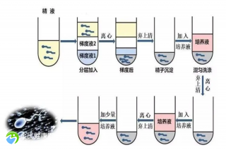 泰安试管私立机构怎么选择