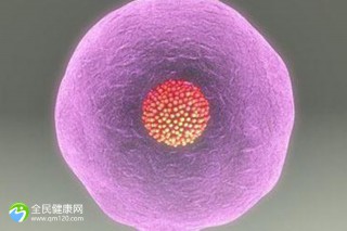 济南市做第三代试管婴儿医院排名榜揭晓，试管婴儿机构推荐