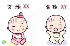 【2025日本比较好的三代试管医院排名前十（附日本三代试管医院排行）】