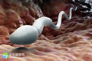湖州助孕公司排名更新，看看钱都花哪去了