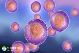 2024泰国第三代试管比较好的医院哪家好？附热门机构的推荐