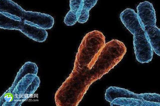 郴州第三代试管机构排名前十名！这几家成功率高可随便选