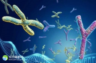 合肥不需要结婚证的试管医院准备费用十万够吗