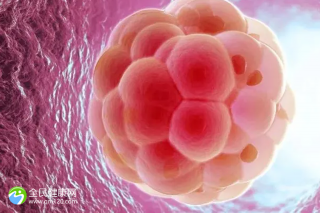 2024年青岛可以做试管三代医院有哪家？附正规机构甄别方法