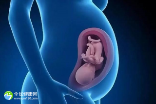 广东广州做三代试管婴儿的医院Top10排行