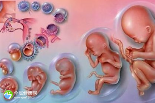 邯郸市做试管的私人机构有哪家
