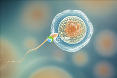 长沙试管婴儿助孕首选机构揭晓!