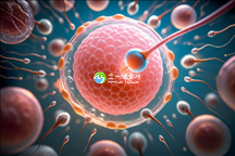 中山哪家助孕中心收费更透明?价格一览!