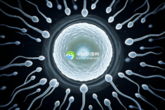 2025年浙江十大最火私立助孕机构一览,助力不孕家庭!