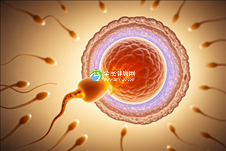 西藏拉萨助孕机构大盘点，揭秘知名助孕公司名录！