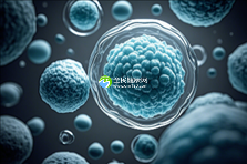 沈阳找助孕机构靠谱吗?沈阳市做试管助孕的公司成功率如何?