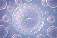 2025昆明助孕机构前十强名单权威发布