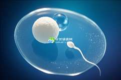 青岛助孕服务领军企业大盘点:揭秘三家顶级机构及合作医院名单!