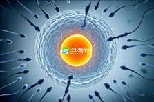 揭秘成都优质助孕机构,权威名单大公开!