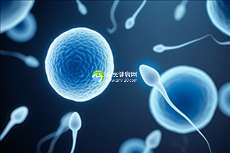 2025年北京十大助孕公司排名 北京成功率靠前的助孕公司