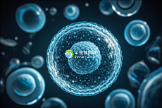 湖南试管助孕精选:揭秘签约的权威助孕中心有哪些?