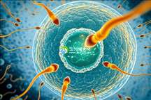 南京助孕机构揭秘:详尽流程与成功率全面剖析