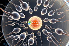 中山试管婴儿技术升级，三代试管费用全解析！