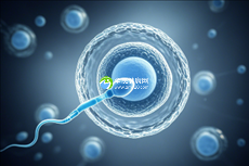 珠海助孕机构排名,用心服务贴心关怀,成就生命奇迹