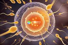 天津助孕机构盘点：2025年天津正规助孕公司排行揭晓