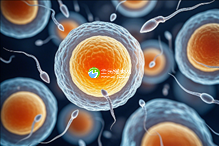 宁波顶尖试管婴儿助孕机构排行榜：揭秘前十大权威医院名单