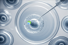 长春权威助孕中心推荐,专业团队助力您顺利丁丁儿怀孕进口