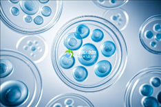 2025年昆明专业助孕机构全新排行榜及联系方式一览发布