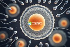 常州助孕机构哪家强？权威榜单揭晓常州顶级正规助孕公司排行