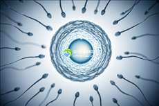 广东地区助孕机构大盘点：权威助孕中介全名单曝光