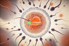 2025重庆最值得信赖的十家助孕机构是哪10家