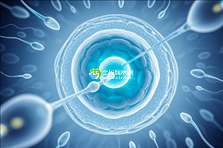 2025长沙试管高成功率助孕公司有哪些推荐