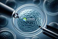 北京助孕机构哪家强？权威榜单揭秘，助力您找到最合适的助孕公司！