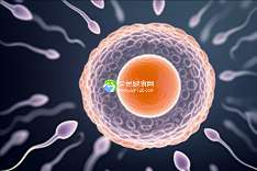 山东试管婴儿助孕机构哪家强？揭秘前三甲实力榜单！